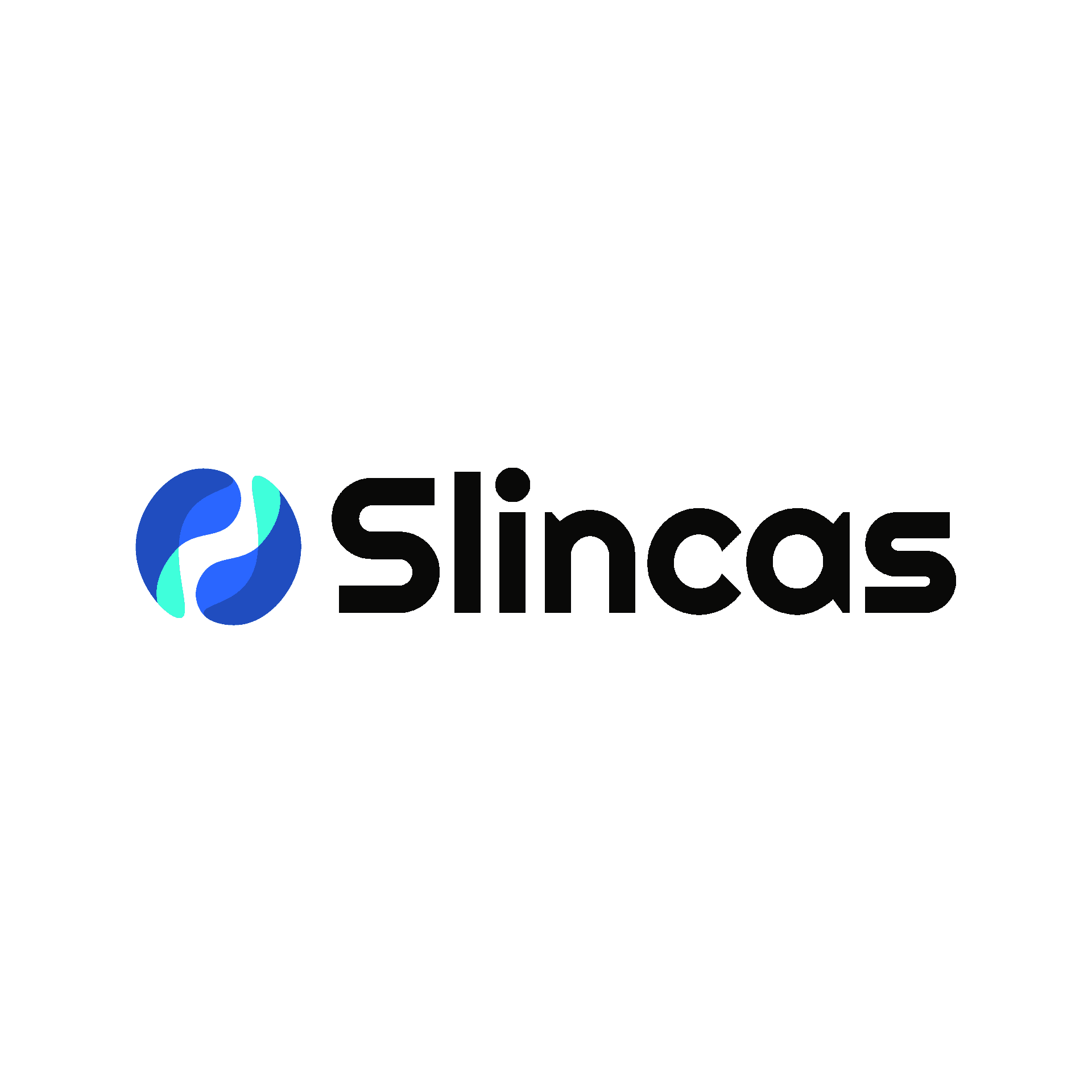 Slincas Logo